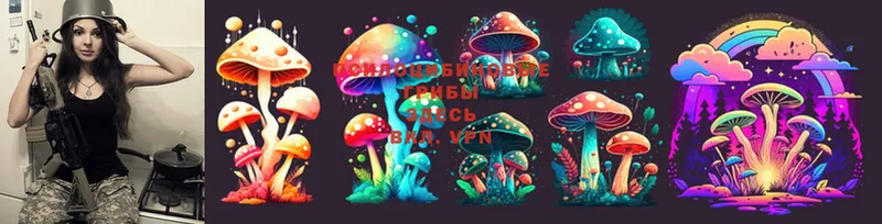 Псилоцибиновые грибы Magic Shrooms  ОМГ ОМГ tor  Горняк 